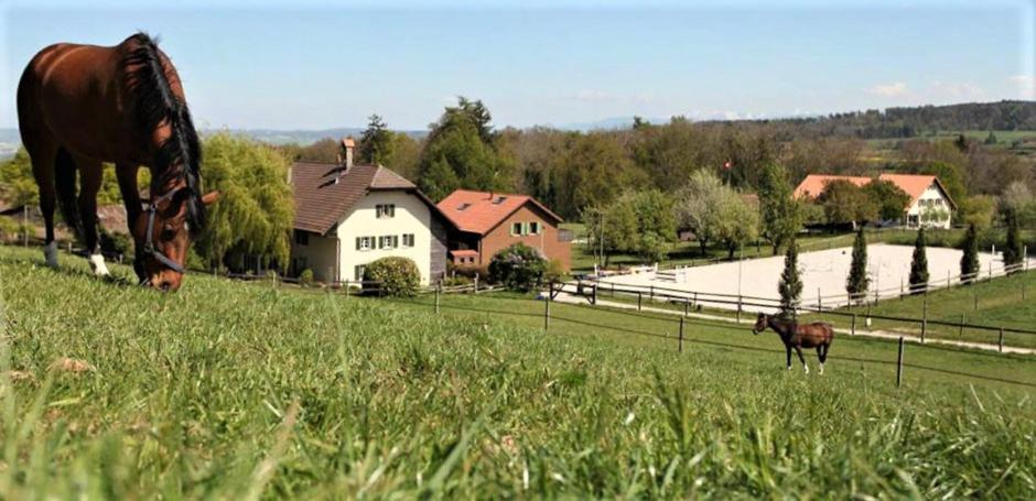 Guesthouse La Moliere, 3 Bedrooms, Private House, Horse Farm, Full Nature Murist Exterior foto